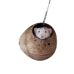 Jaulas naturales de coco para mascotas pequeñas Jaula para mascotas para hámster/Nido de animales pequeños/Precio de fábrica barato - Product Image 5