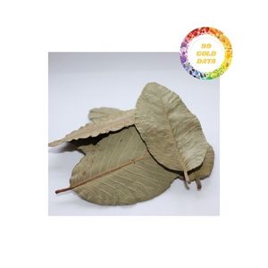 Feuilles de goyave en vrac, séchées au soleil et triées pour les acheteurs en gros à la recherche de matériaux cohérents et d'une approvisionnement fiable - Product Image 5