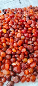 Piedras de Cornalina Roja Natural Pulimentadas, Gemas Curativas, Decoración, Colección, Venta al por Mayor, Suministro a Granel - Product Image 3