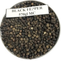 Vente de poivre noir entièrement certifié 500GL FAQ/MC- 5MM poivre noir poivre du Vietnam import export épices 2022-Henry:+ 84368591192