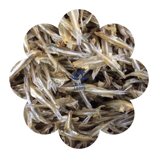 Anchoa seca al sol de alta calidad, pescado seco de anchoa, pescado seco, pescado Premium, mariscos de Loto Azul de Vietnam