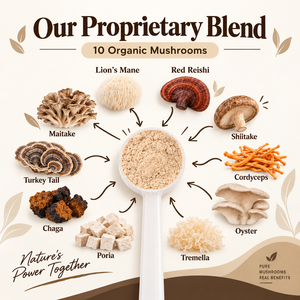 BOBBI PURE OEM ODM Poudre de champignons pour chiens et chats <span class=keywords><strong>Crinière</strong></span> de lion, Reishi rouge, Queue de dinde, Sans céréales, Complément alimentaire pour animaux de compagnie, Immunité et Cognition - Product Image 3