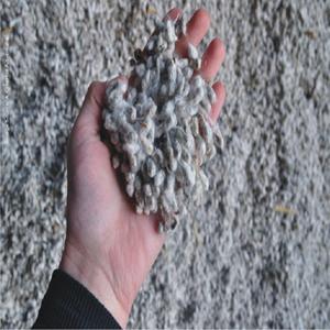 Graine de coton coque à vendre - Product Image 4