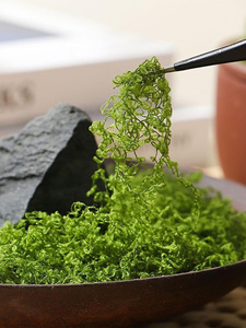 Envío Rápido desde Almacén en EE. UU., Flores Artificiales de Musgo Ecológicas y Ligeras, 30g (1.05oz) /150g (5.3oz), Soporte de Plástico para Plantas - Product Image 2