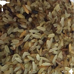 Rechazo de alimentación animal Arroz disponible para la venta - Product Image 1