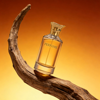 Flacon de parfum vide, design unique et luxueux, flacon de parfum en verre pour homme, 100 ml, sans bouchon