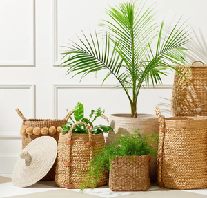 MEJOR VENDEDOR-Venta al por mayor Seagrass Cestas Productos más vendidos Seagrass Belly Basket en alta calidad Hecho en VIETNAM - Product Image 4