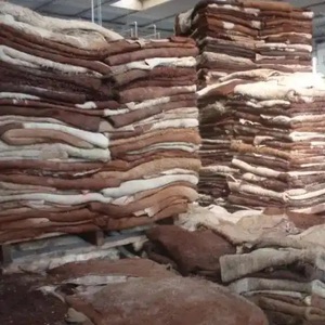 فرو / جلد بقر ملحوم رطب وجاف بأرخص سعر / جلد بقر جلد حيوانات جلد الجاموس - Product Image 4