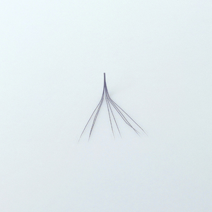 Extensiones de pestañas sueltas hechas a mano con logotipo personalizado, pestañas de color prefabricadas con Etiqueta Privada, hechas en Vietnam - Product Image 2