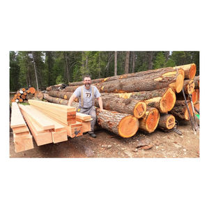 Troncos de abeto Douglas asequibles suministrados para pedidos a granel con entrega mundial confiable - Product Image 4