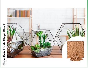 Bloques de Fibra de Coco para Cultivo de Plantas, Alta Retención de Agua, Ecológicos, Biodegradables, Abono Orgánico para el Suelo, Paquete de 5 kg - Product Image 5