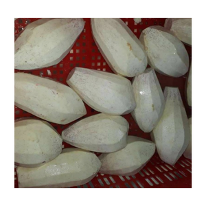 Taro frais congelé du Vietnam, Taro pelé IQF tranché, entier, coupé à moitié de taro congelé, petit morceau de taro congelé pour l'exportation - Product Image 1