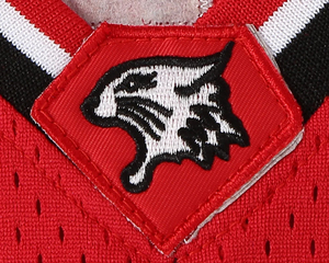 Maillot Streetwear personnalisé sublimé avec logo de broderie uniforme de maillot de basket-ball respirant - Product Image 6