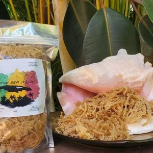 Organic Irish <b>Moss</b> Wholesale OEM Packaging - Product Image 5