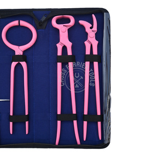 ชุดเครื่องมือช่างเกือกม้าสำหรับตัดแต่งและติดเกือกม้า มีดตัดแต่งกีบสีชมพู 15 นิ้ว ที่ตัดแต่งกีบ ที่ย้ำเกือก ที่ทดสอบอาการปวดกีบ ปากคีบโค้ง ที่แคะกีบ - Product Image 2