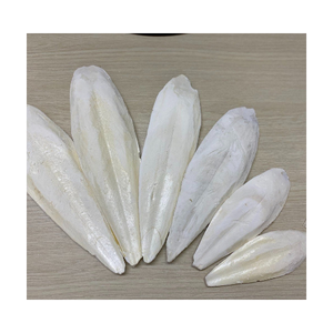 ปลาหมึกล้างสำหรับกระดูกปลาหมึกสัตว์เลื้อยคลานแห้งสำหรับของเล่นนก-ผงกระดูกซีเปียจากเวียดนาม /ms.thi - Product Image 1