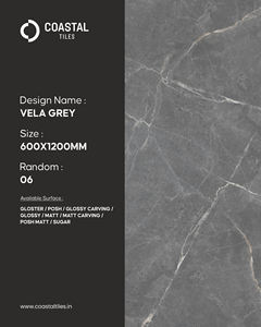 Carnico Grey 24x48, Colección de Azulejos de Porcelana con Acabado Gloster, Azulejos Vitrificados de Primera Calidad, Diseño Moderno, Azulejos Costeros, India - Product Image 1