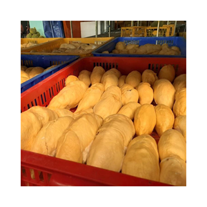 ทุเรียนแช่แข็งผลไม้เมืองร้อนแช่แข็งทุเรียน - Product Image 6