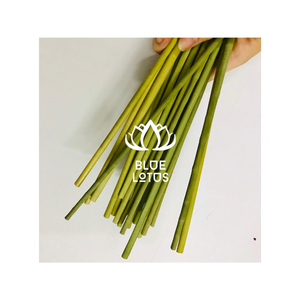 Precio barato, cesta de hierba marina ecológica, Mini maceta de hierba marina de Bali, cesta de almacenamiento de paja hecha a mano, algodón Natural, SHN americano - Product Image 1
