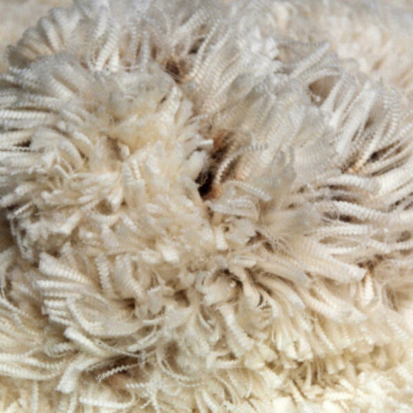 Greasy Sheep Wool 100% Combed Wool Fiber Tops Top Merino Wool for Wholesale