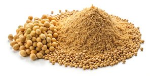 Venta al por Mayor de Harina de Soja de Primera Calidad para Alimentación Animal, para Caballos, Ganado, Cerdos y Peces, Origen UE, 0.5% de Humedad, 24 - Product Image 3
