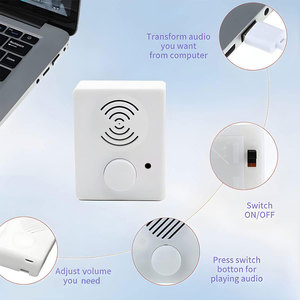 Módulo de Sonido Cuadrado Pequeño Personalizado de Plástico, Altavoz de Juguete DC, Cajas de Sonido de Audio para Peluches, Cajas de Música con Función de Grabación de Voz - Product Image 6