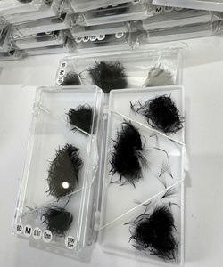 Extensions de cils volume pré-faits 6D M Curl 0.07mm, éventails faits main, base pointue, en PBT coréen, vente en gros OEM - Product Image 6