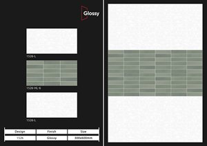 Fabricante directo India Alto brillo 300x600 Azulejos de pared digitales esmaltados de cerámica Alta calidad Nuevo diseño moderno Villas Sólido - Product Image 5