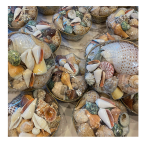 Cuenco Decorativo Premium con Diseño de Concha Marina, Hecho en Vietnam con Conchas Pulimentadas, para Decoración de Mesa - Product Image 1