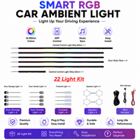 Kit d'éclairage LED d'ambiance pour l'intérieur de la voiture, 12V, modèle LH-002, faisceau de câbles en acrylique, logo personnalisé, prise en charge de diverses combinaisons de kits, OEM