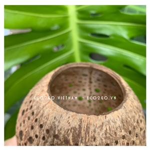 Wholesale 2025 <b>Coconut</b> <b>Shell</b> Tea Light Holder/<b>Coconut</b> <b>Shell</b> Tea Light Candle Holder With Engrave Laser Logo Made in Vietnam - Product Image 3