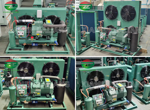 Unidade de Refrigeração <span class=keywords><strong>220</strong></span> <span class=keywords><strong>Volts</strong></span>, Unidade de Condensação, Compressor, Unidades de Condensação - Product Image 4