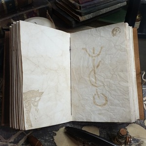 Notebook dari the book of Shadow untuk <span class=keywords><strong>pagan</strong></span> witches fantasy art Jurnal - Product Image 4