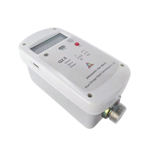 Medidor de gas inteligente ultrasónico NB-IoT G1.6 Carcasa de acero inoxidable de alta tecnología con detección de flujo ultrabajo para uso residencial Digital - Product Image 3