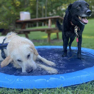 Fuente de Agua para Perros, Juguete para Piscina, Diversión de Verano y Durabilidad - Product Image 2
