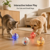 Balle de jeu interactive en plastique écologique rechargeable pour chats - Couleur unie, utilisation intérieure/extérieure
