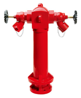 Hydrant à incendie humide bidirectionnel DN100, hydrant à incendie de type pilier de 4 pouces pour la lutte contre l'incendie