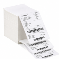 Etiquetas Plegables de Información del Producto para Impresión de Códigos de Barras en Embalajes, 4x6 Pulgadas, 100x150mm, Adhesivas, Personalizables
