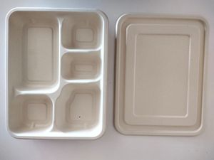Grossiste Commande en gros Plateau repas 5 CP Boîte à lunch jetable en bagasse de canne à sucre Couvercle biodégradable écologique - Product Image 3