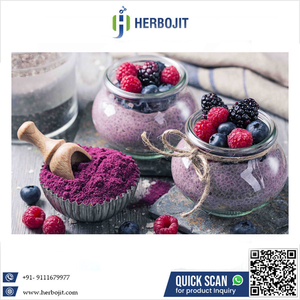 Poudre de Myrtille Séchée par Pulvérisation Naturelle en Gros, Concentré à 100% de Jus de Myrtille, Qualité Supérieure, Fabriquée en Inde, Excellente - Product Image 6