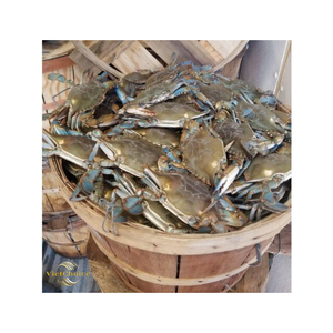 ตะกร้าสานไม้ธรรมชาติแท้  รักษ์โลก คุณภาพสูง  สีตามสั่ง ขนาดตามสั่ง  สินค้าขายส่งจากเวียดนาม - Product Image 3