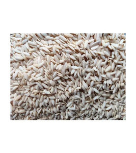 Semillas de melón sin cáscara disponibles a granel para exportación a productores de aperitivos y alimentos saludables - Product Image 6