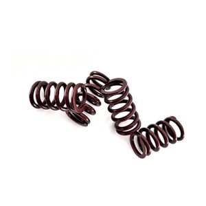 Ressort moteur en acier inoxydable pour KAO Cygnus avec roseau de soupape inclus rouge foncé et noir nouveau pour rénovation/mise à niveau - Product Image 1