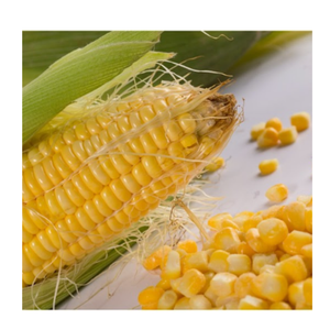 Maïs sucré surgelé du Vietnam Meilleur prix Fournisseur en vrac pour les producteurs d'aliments en conserve Restaurants de restauration rapide et grands fabricants d'aliments - Product Image 4