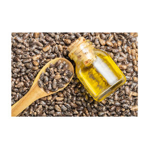 Huile de ricin noire pressée à froid pour la croissance des cheveux 100% huile de ricin biologique naturelle pure au meilleur prix - Product Image 3