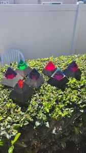 Cendrier en béton personnalisé classique TCE, fait à la main, en ciment solide, durable, réutilisable, pour table, pour la maison, l'hôtel, le café, le bar - Product Image 5