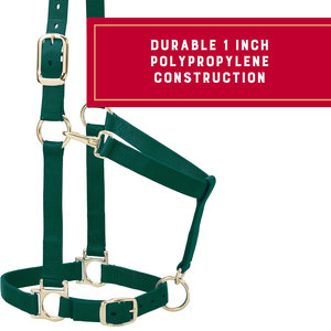 Cabestro de caballo de nailon, relleno suave, gancho de presión ajustable en la garganta de la barbilla, herrajes chapados en latón de alta resistencia, líder de entrenamiento Halter - Product Image 3