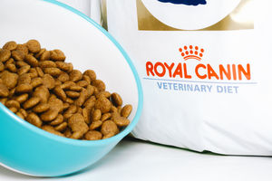 Royal Cannin 15KG Bolsas 100% Natural para Gatos Comida para Perros/Comida para Gatos Disponible para Exportación. - Product Image 4