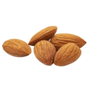 Wholesale health snacks organic Almond nut bulk high quality Roasted American almonds Low Price