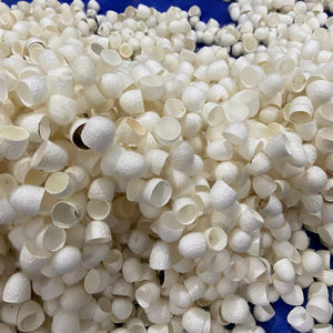 Fournisseur en gros de matières premières pour soins de la peau naturels à base de cocon de soie du Vietnam - Product Image 1